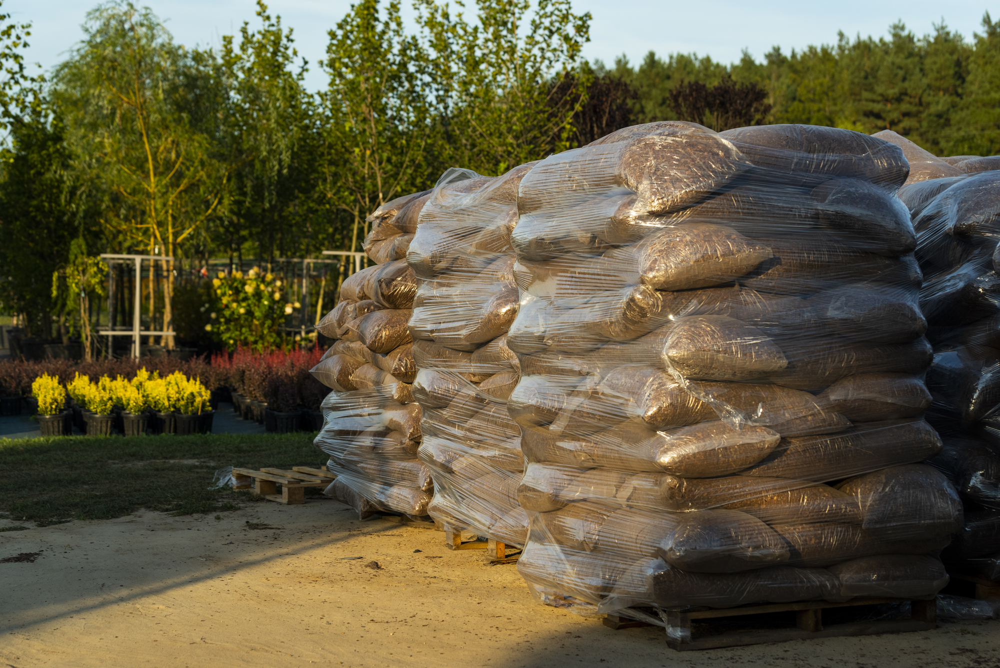 How Many Bags of Mulch Fit on a Pallet? three rows of pallets with wood mulch stacked high